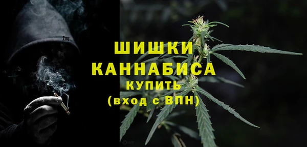PSILOCYBIN Белокуриха