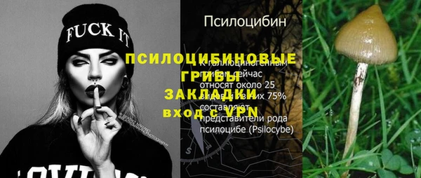 PSILOCYBIN Белокуриха