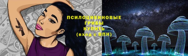 PSILOCYBIN Белокуриха